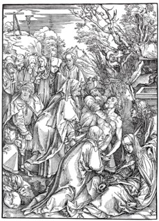 Woodcuts to the great passion.
