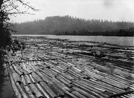 Logging Rafts In Oregon