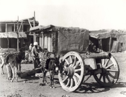 Central Asian Cannon