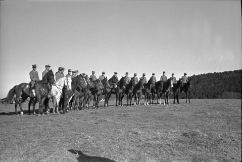 Willow near Chevenez. Cavalrymen riding their horses