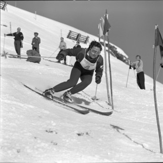 Rosa Reichert 1956.