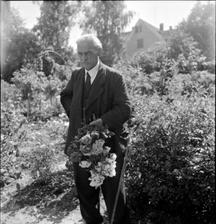 Wilhelm Meyer, around 1954.