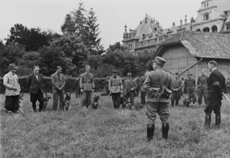 Army auxiliaries, dogs, dog handlers.