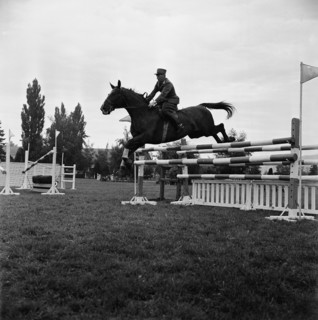 Qualifications  Rome 1960: Hans Möhr and Lausbub.