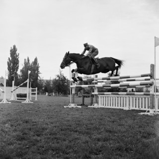 Qualifications  Rome 1960: Paul Weier.