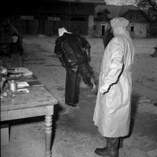 Measures against foot-and-mouth disease, 1953 .