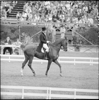 Olympic Games Rome 1960: Ivan Kalita and Korbey.