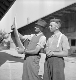 Examination of farmers at Wallierhof, Riedholz 1945