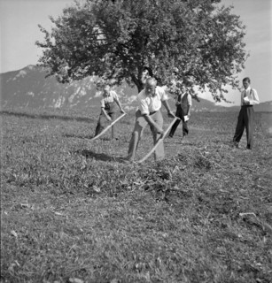Examination of farmers at Wallierhof, Riedholz 1945.