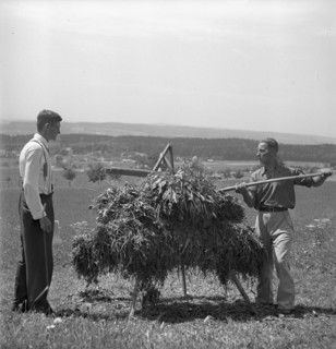 Examination of farmers at Wallierhof, Riedholz 1945