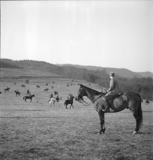 Dragoon squadron 9, Chevenez (Ajoie, Jura) ca. 1940