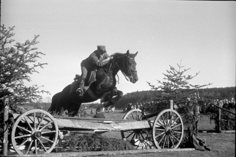 Willow near Chevenez. Cavalryman riding his horse