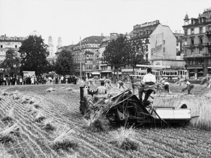 Ackerbau auf den öff