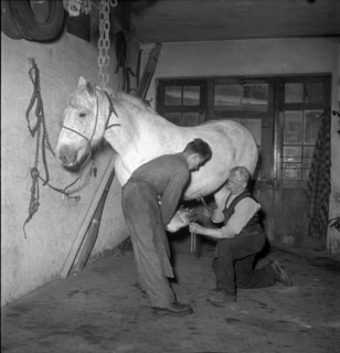 Blacksmith in Rekingen AG 1950