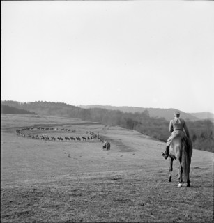 Dragoon squadron 9, Chevenez (Ajoie, Jura) ca. 1940