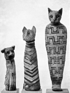 Mummified Egyptian Cats