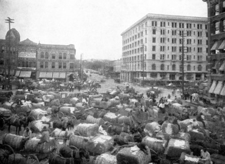 Cotton Arriving at Market