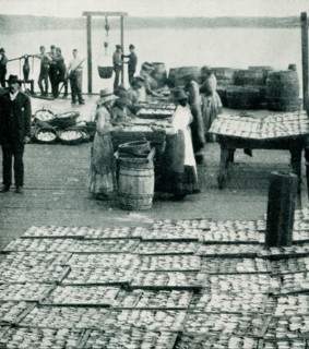 This 1903 photo shows inside a sardine factory in Maine.