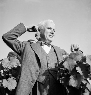 Charles Chaplin in vineyard at the lake of Geneva.