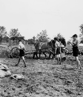 Scouts achieve national duty, farming camp in Switzerland 1939.