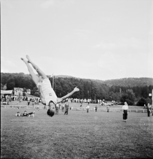 ETV Championships and group competitions, Lucerne 1949.