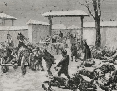 Russo-Turkish War (1877-1878). Siege of Plevna (20 July to 10 December 1877). Combats that took