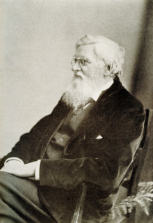 Alfred Russel Wallace (1823-1913) was a British naturalist, explorer, geographer, anthropologist,