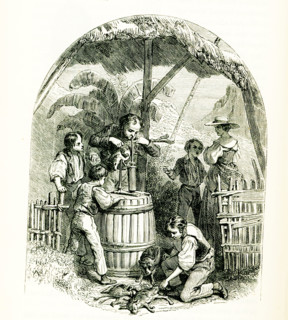 Swiss Family Robinson. The caption reads: “Skinning a Kangaroo.” The Swiss Family Robinson