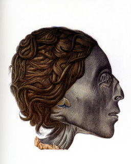 The caption accompanying this 1903 illustration in Gaston Maspero’s book on Egypt reads: “Profile