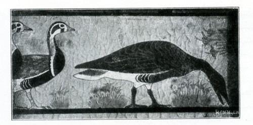 This illustration of a painting on a tomb wall in Meidum shows three geese. The time period is