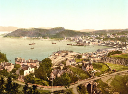 Overall View