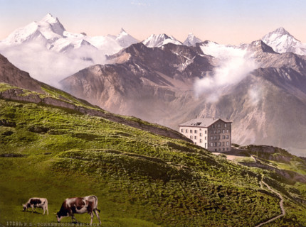 Torrenthorn Is A 2998 M Above Sea Level High Peak In The Western Bernese Alps Above Leukerbad In The Valais In Switzerland / Leukerbad