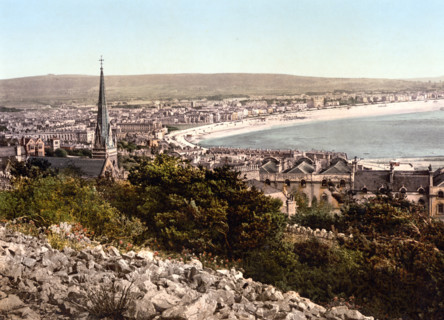 Overall View