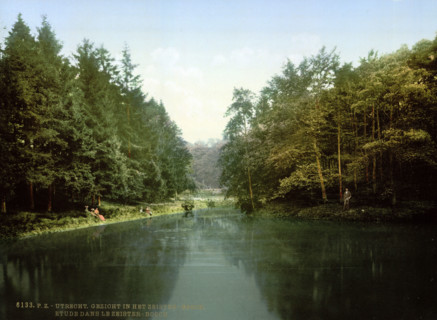 In the Zeister Forest, around 1895, historical, digitally restored reproduction from an original