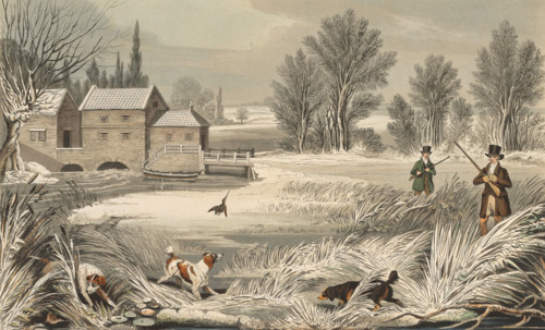 Snipe Hunt, 1822, England, Historical, digitally restored reproduction from an original from the