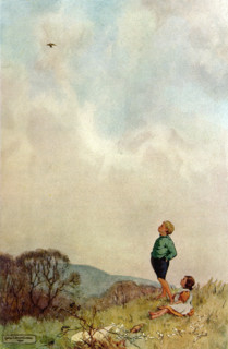 Skylark Sings