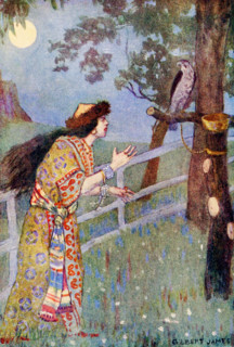 The caption for this illustration reads: Paul's gray falcon's neck turned. In Serbia mythology,