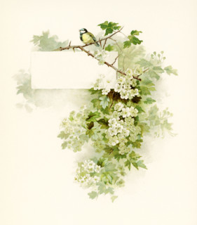 This illustration of flowers with a bird in the branches accompanied Phillips Brooks's Poems  (c.