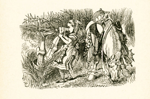 This illustration of Alice and the White Knight with his horse in ditch is from ""Through the