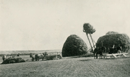 This photo dates to the early 1920s. Its caption reads: Stacking Hay by Modern Methods. A scene on