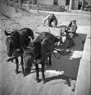 Frutigen, horses and cart; 1946.