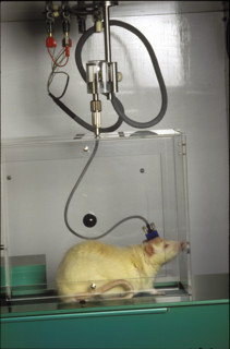 Laboratory Council, 1987