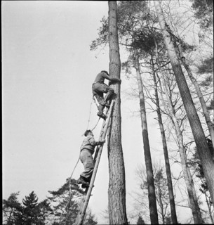 Land reclamation, extend area of cultivable land; clearing; 1942.