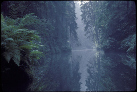 Untouched river 1982.