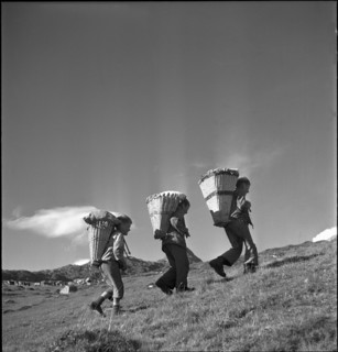 Farmer boys with backpack baskets, Bettmeralp 1952