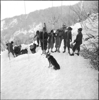 Three workers buried by avalanche near Grindelwald: men searching for the missed persons; 1956
