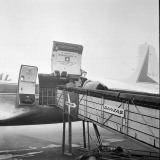 Olympic Games Tokyo 1964: departure of Swiss riding team, Zurich-Kloten airport; wolf