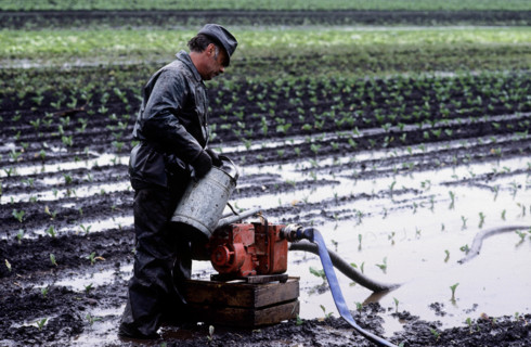flood area, field under water in Zealand, 1983
