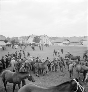 38th Marché Concours Saignelégier, 1941