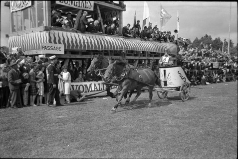 62nd Marché-Concours Saignelégier, chariot race, 1965